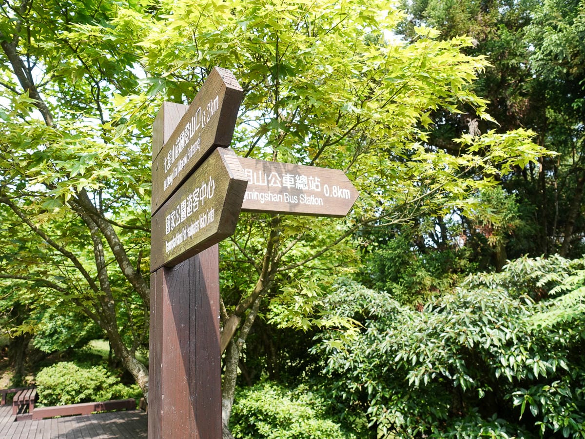 百岳練習場七星山主峰 苗圃線繞O形登頂台灣小百岳