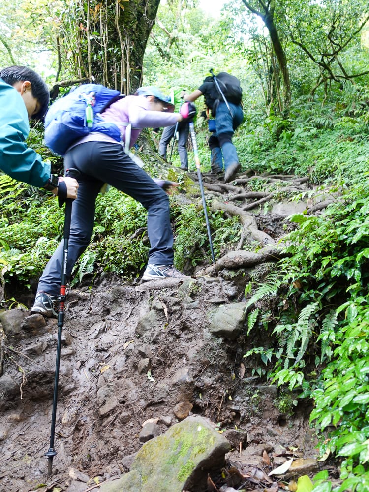 新手登山入門準備 從城市肉雞開始第一次爬山心理建設