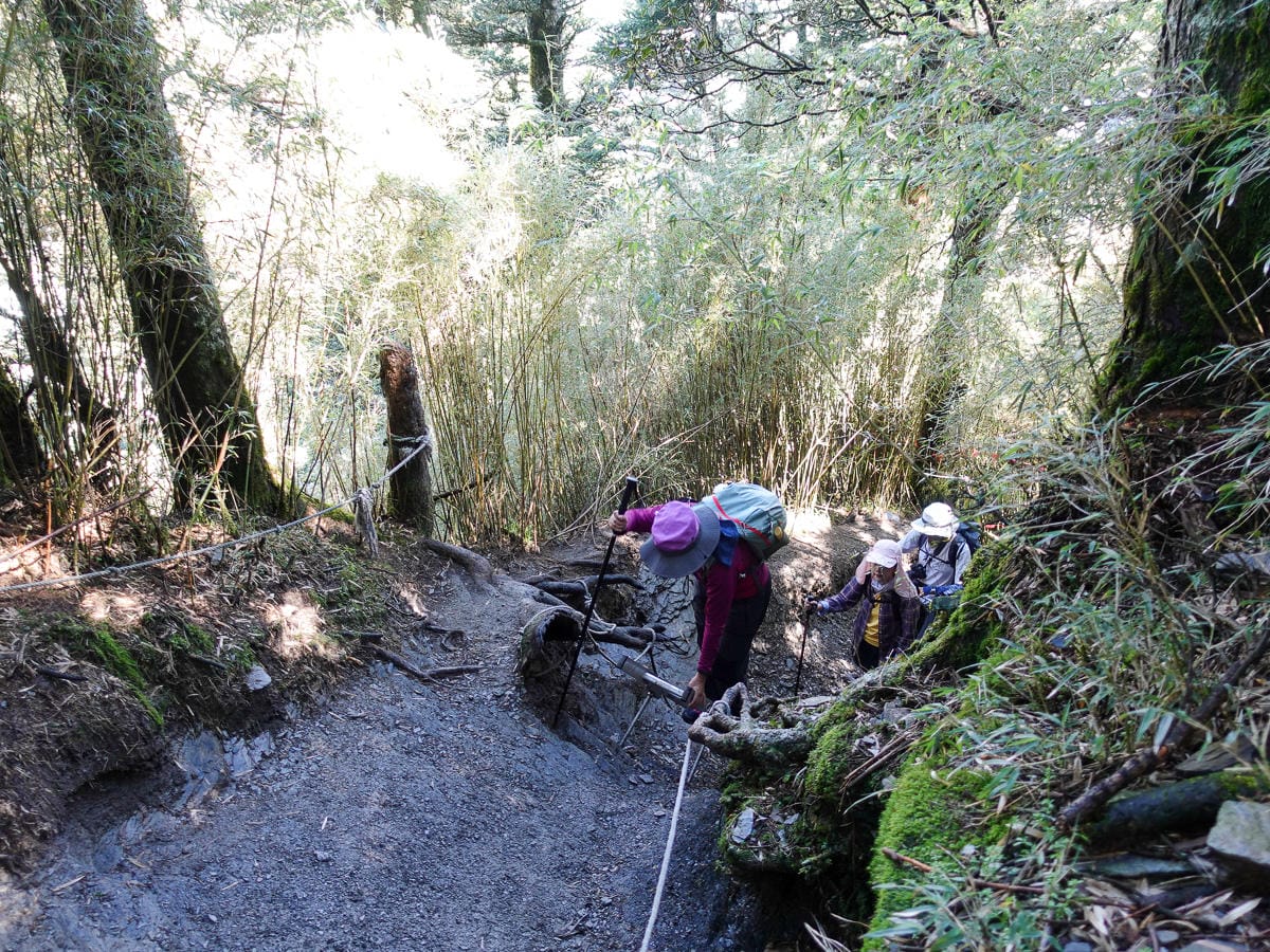 跟老蝦走合歡山兩天一夜 合歡主東峰合歡尖石門山看日出加小奇萊 (下
