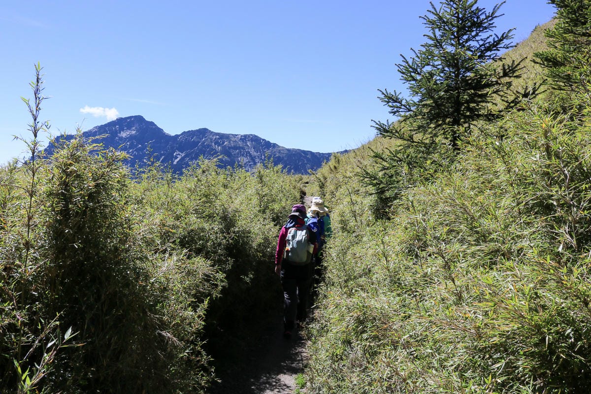 跟老蝦走合歡山兩天一夜 合歡主東峰合歡尖石門山看日出加小奇萊 (下