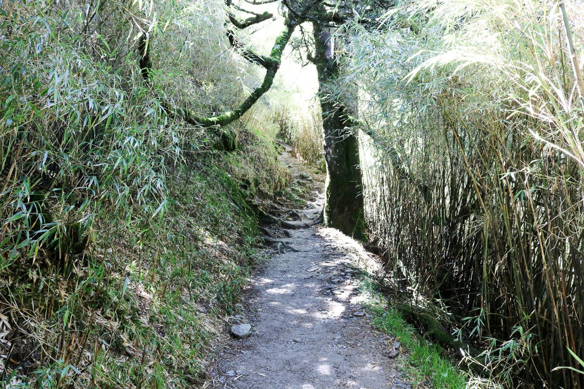 跟老蝦走合歡山兩天一夜 合歡主東峰合歡尖石門山看日出加小奇萊 (下