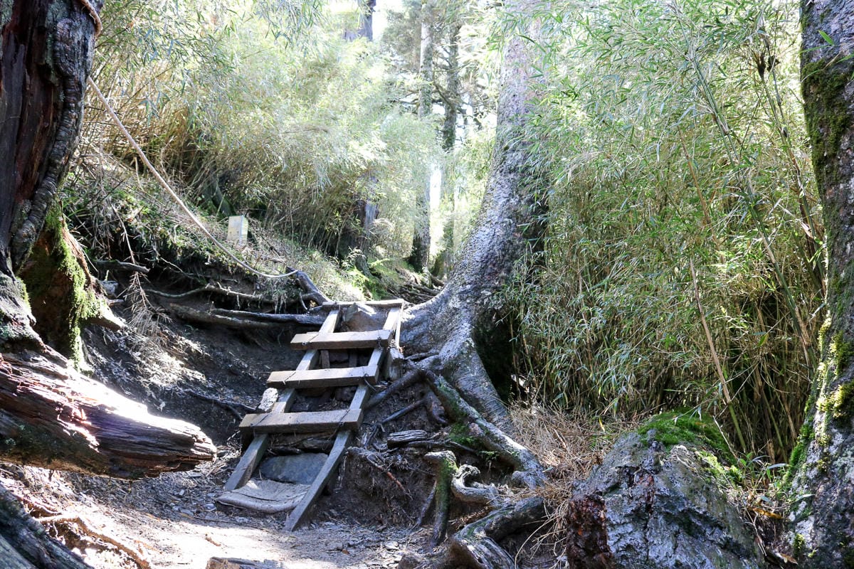 跟老蝦走合歡山兩天一夜 合歡主東峰合歡尖石門山看日出加小奇萊 (下