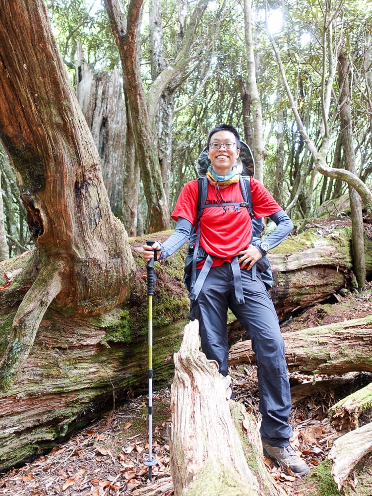 塔曼山登山步道 新北第一高峰拉拉山隔壁 氣氛滿點魔幻森林