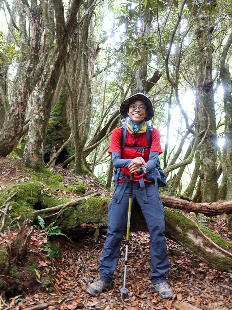 塔曼山登山步道 新北第一高峰拉拉山隔壁 氣氛滿點魔幻森林