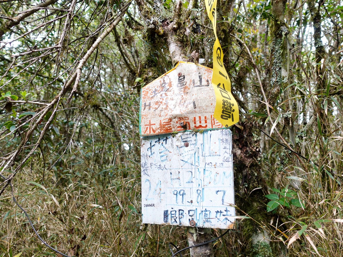 塔曼山登山步道 新北第一高峰拉拉山隔壁 氣氛滿點魔幻森林