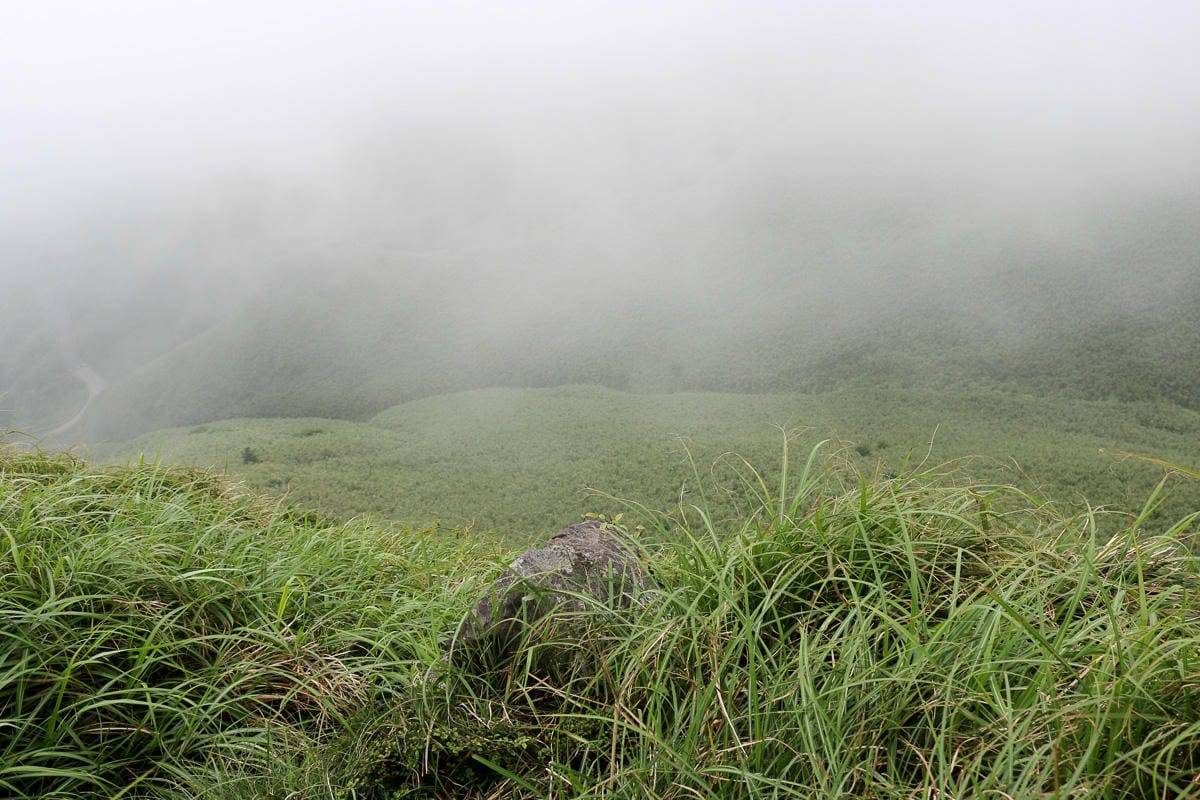 小觀音山群峰 北投三芝健行 直上小觀音山西峰唯美箭竹草坡