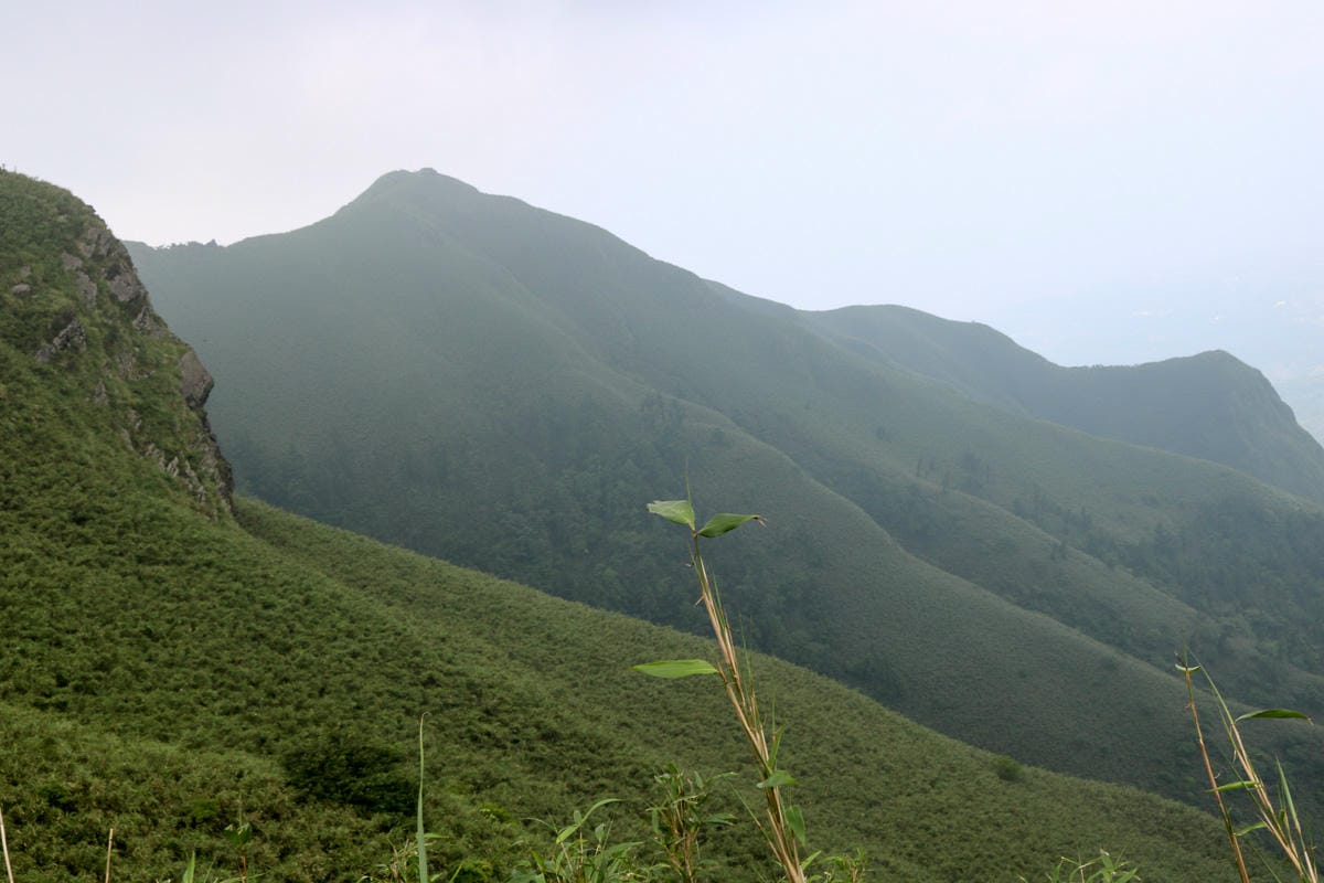 小觀音山群峰 北投三芝健行 直上小觀音山西峰唯美箭竹草坡