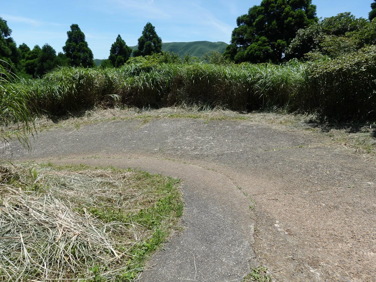 小觀音山群峰 北投三芝健行 直上小觀音山西峰唯美箭竹草坡