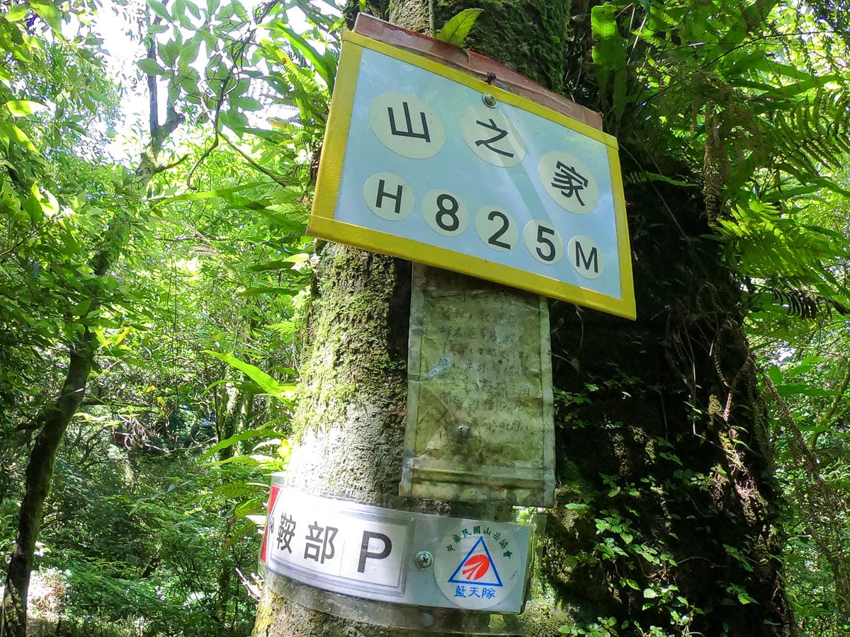 小觀音山群峰 北投三芝健行 直上小觀音山西峰唯美箭竹草坡