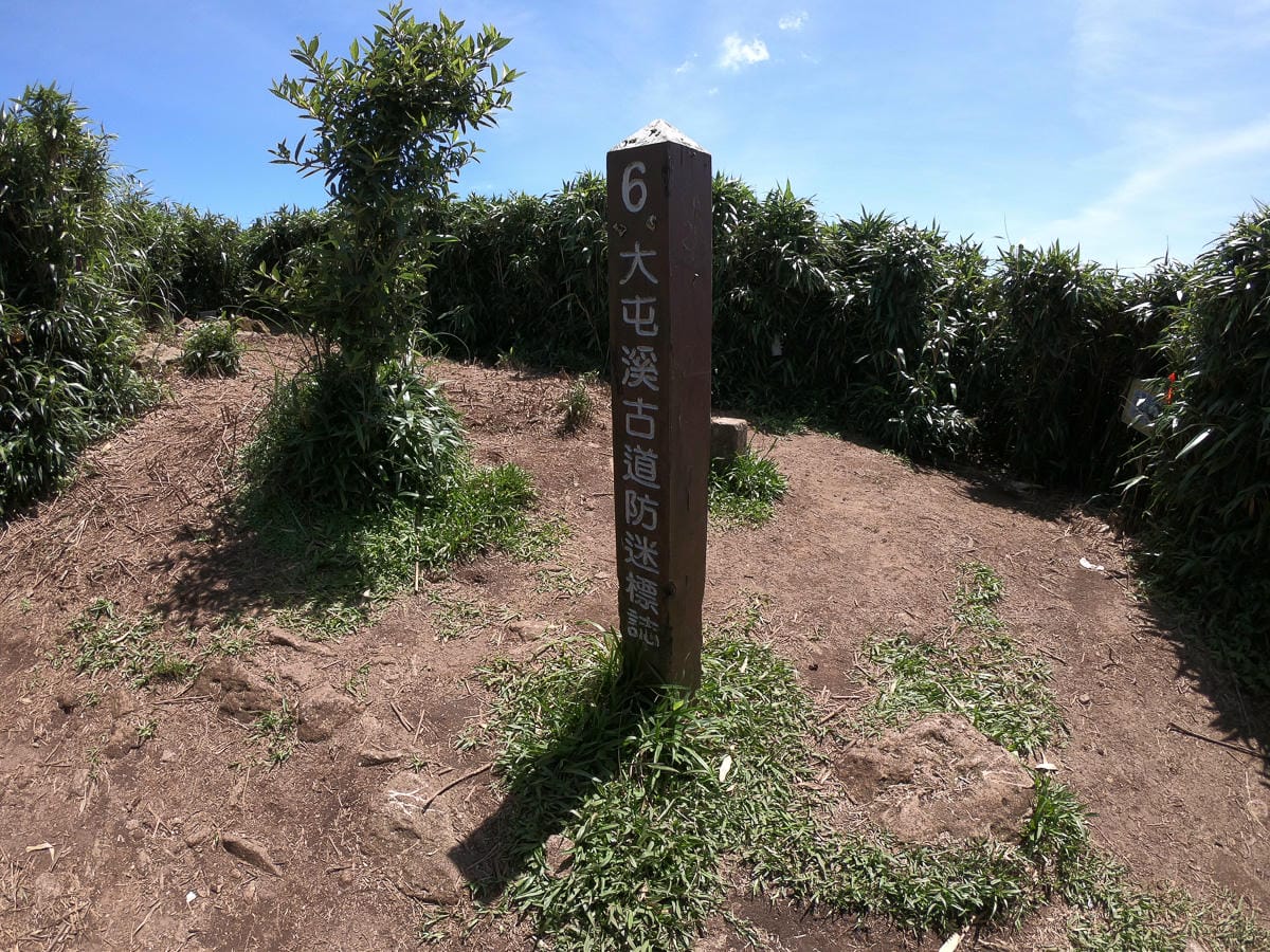 小觀音山群峰 北投三芝健行 直上小觀音山西峰唯美箭竹草坡