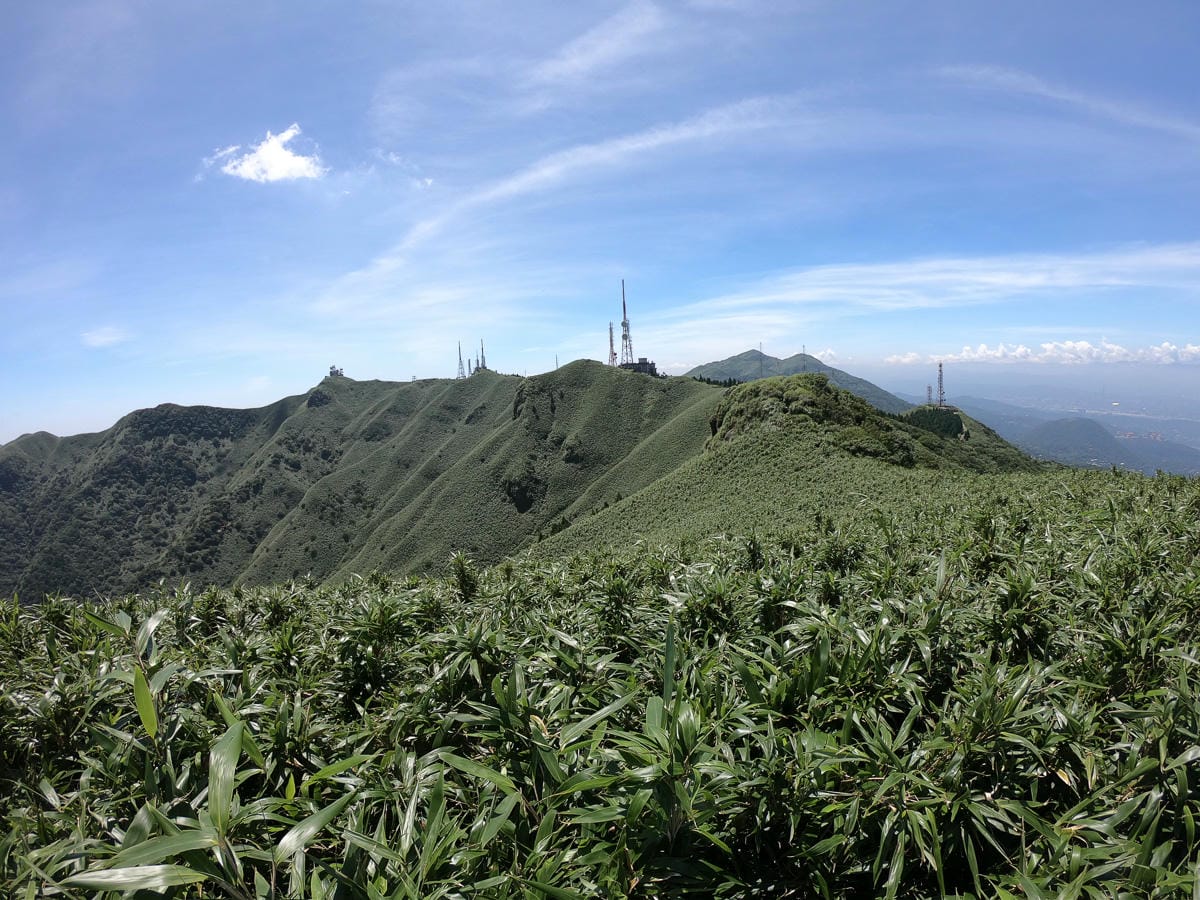 小觀音山群峰 北投三芝健行 直上小觀音山西峰唯美箭竹草坡