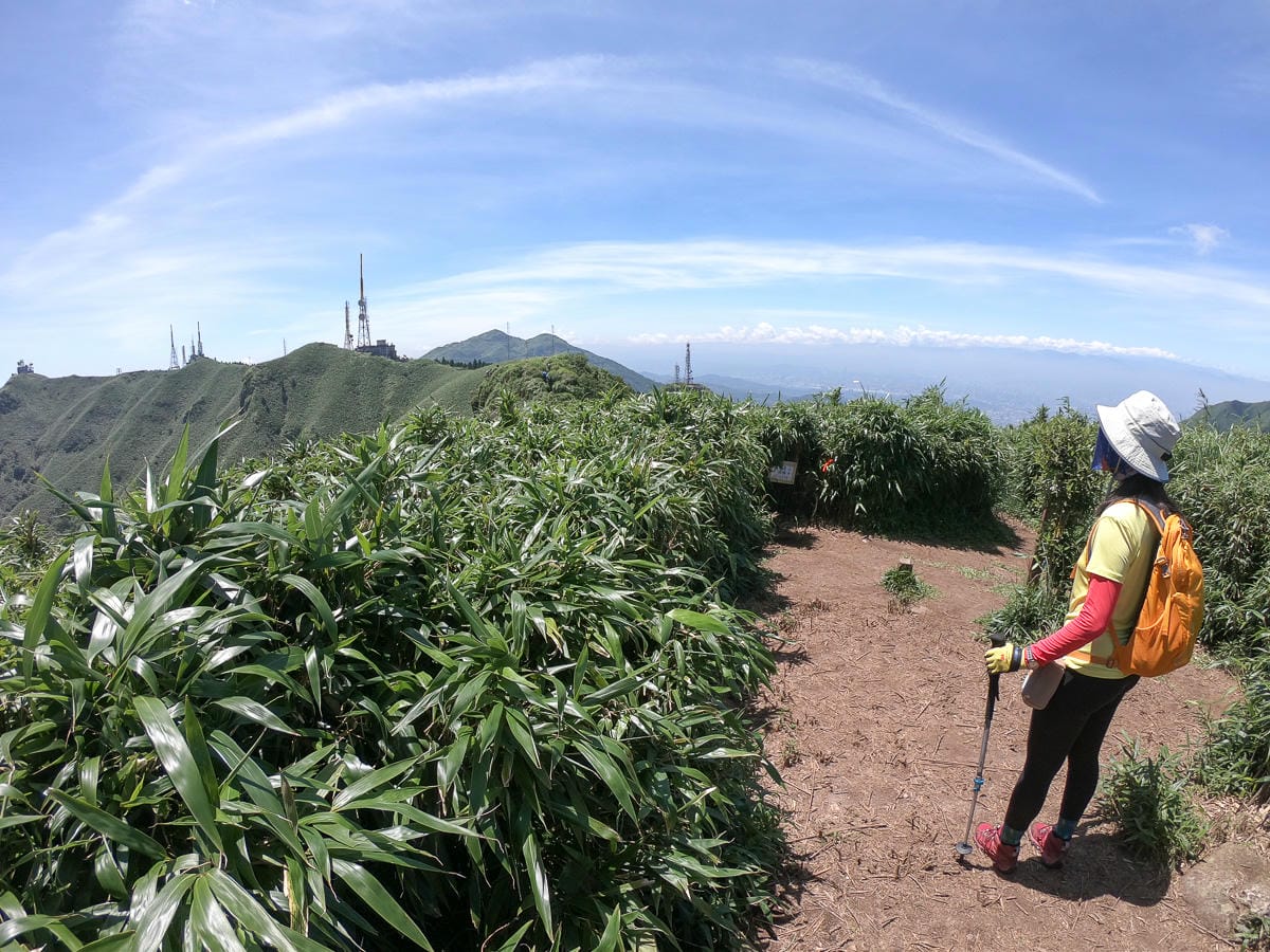 小觀音山群峰 北投三芝健行 直上小觀音山西峰唯美箭竹草坡