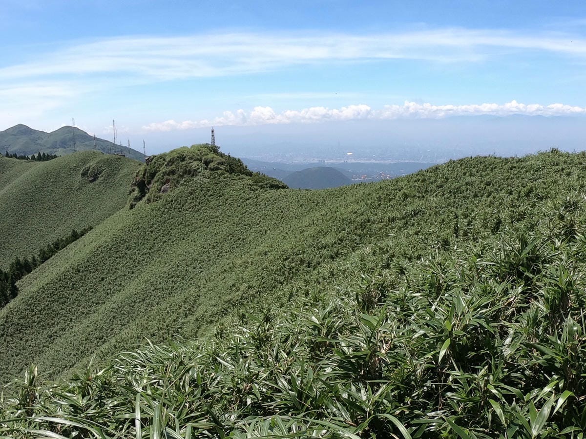 小觀音山群峰 北投三芝健行 直上小觀音山西峰唯美箭竹草坡