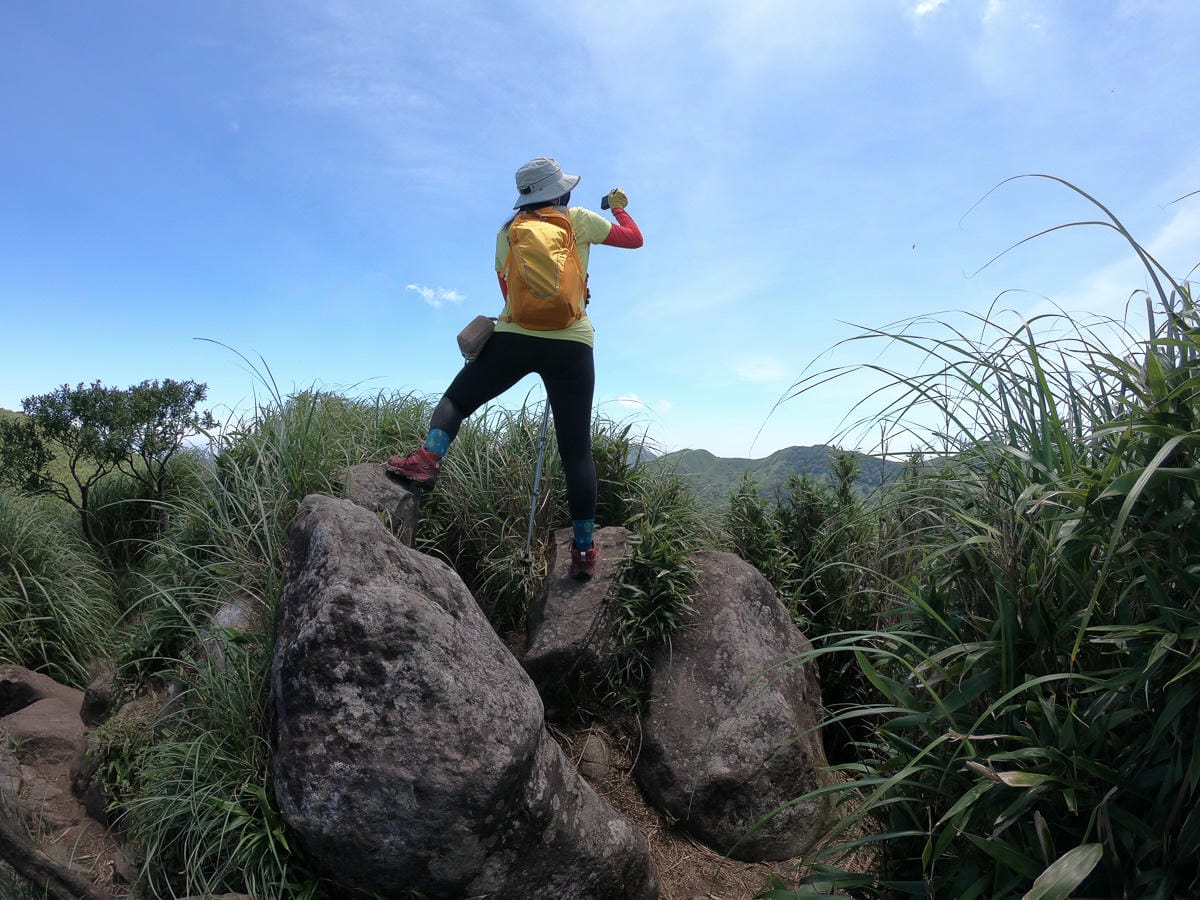 小觀音山群峰 北投三芝健行 直上小觀音山西峰唯美箭竹草坡