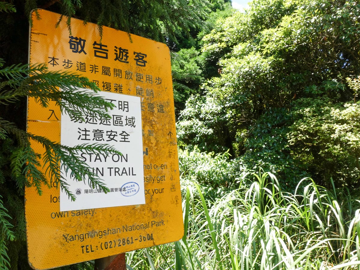 小觀音山群峰 北投三芝健行 直上小觀音山西峰唯美箭竹草坡