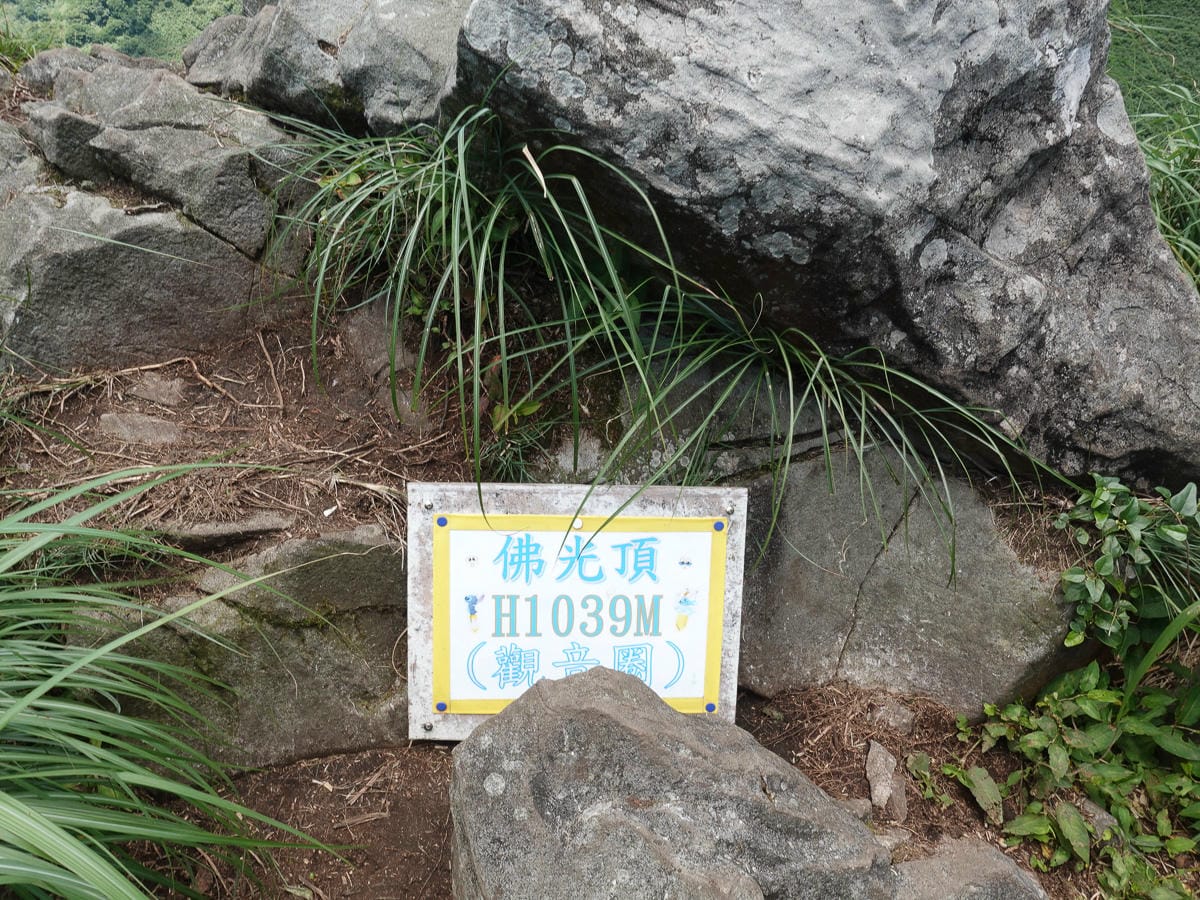 小觀音山群峰 北投三芝健行 直上小觀音山西峰唯美箭竹草坡