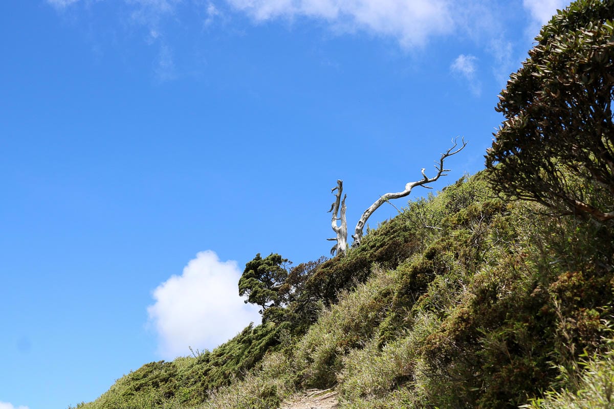 跟老蝦走合歡山兩天一夜 合歡主東峰合歡尖石門山看日出加小奇萊 (完成