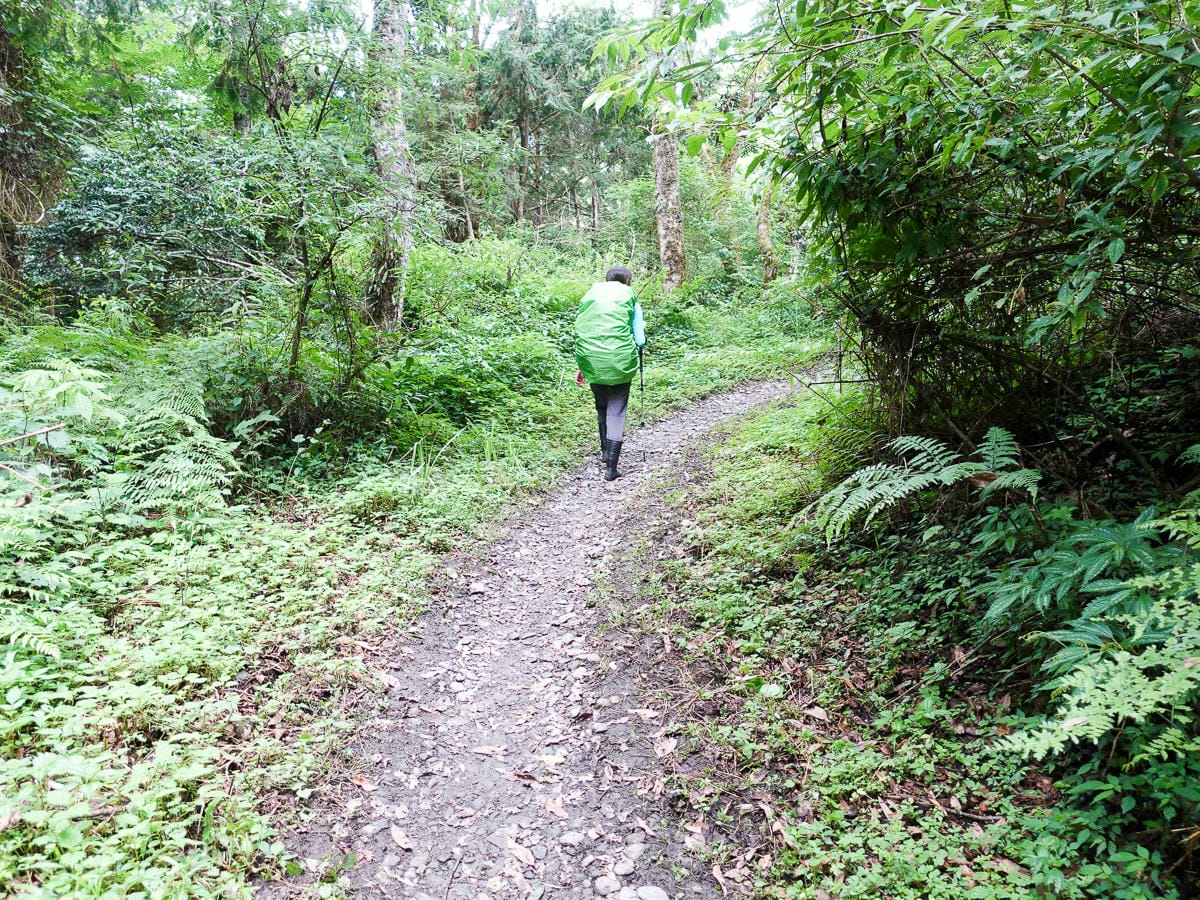 宜蘭加羅湖 加太縱走兩日露營太平山 倒木跨到飽會吃鞋的泥沼(上