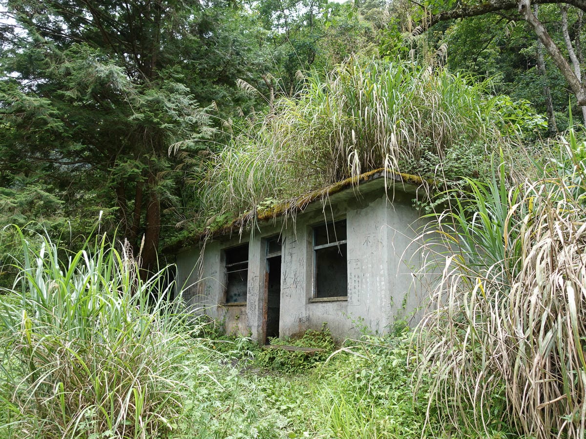 宜蘭加羅湖 加太縱走兩日露營太平山 倒木跨到飽會吃鞋的泥沼(上