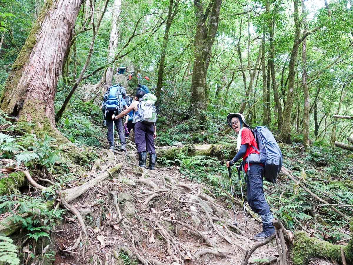 宜蘭加羅湖 加太縱走兩日露營太平山 倒木跨到飽會吃鞋的泥沼(上