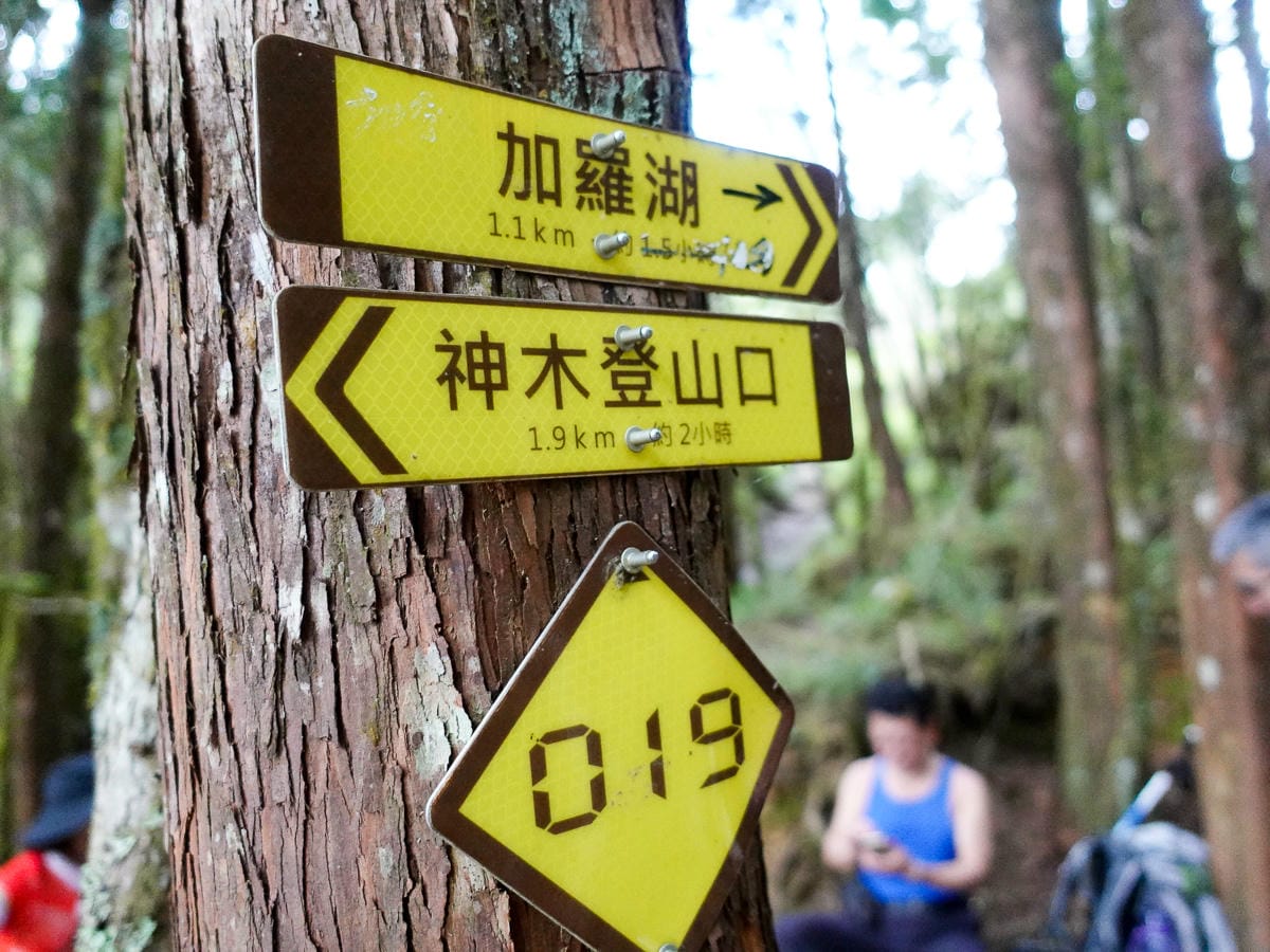 宜蘭加羅湖 加太縱走兩日露營太平山 倒木跨到飽會吃鞋的泥沼(上