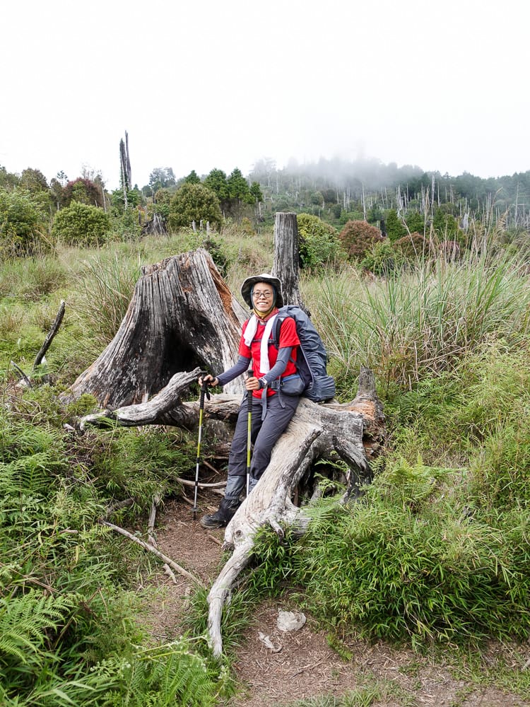 宜蘭加羅湖 加太縱走兩日露營太平山 倒木跨到飽會吃鞋的泥沼(上