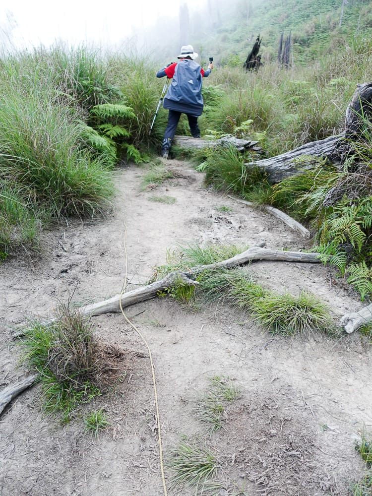 宜蘭加羅湖 加太縱走兩日露營太平山 倒木跨到飽會吃鞋的泥沼(上