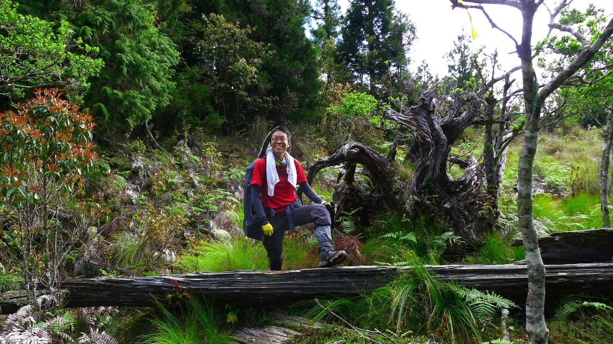 宜蘭加羅湖 加太縱走兩日露營太平山 倒木跨到飽會吃鞋的泥沼(上