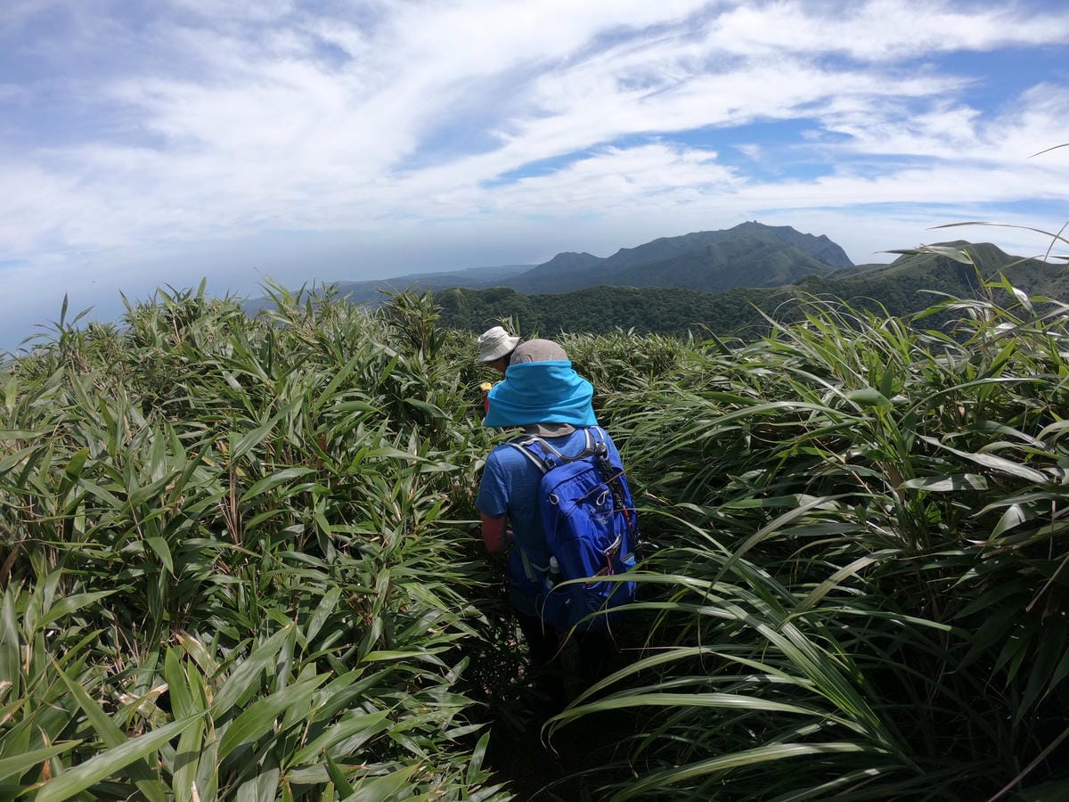 小觀音山群峰中O縱走 小觀音西峰 西西峰 清風崙 下切溪谷前進大屯溪 - 第7張圖 小觀音山步道群峰連峰中O縱走