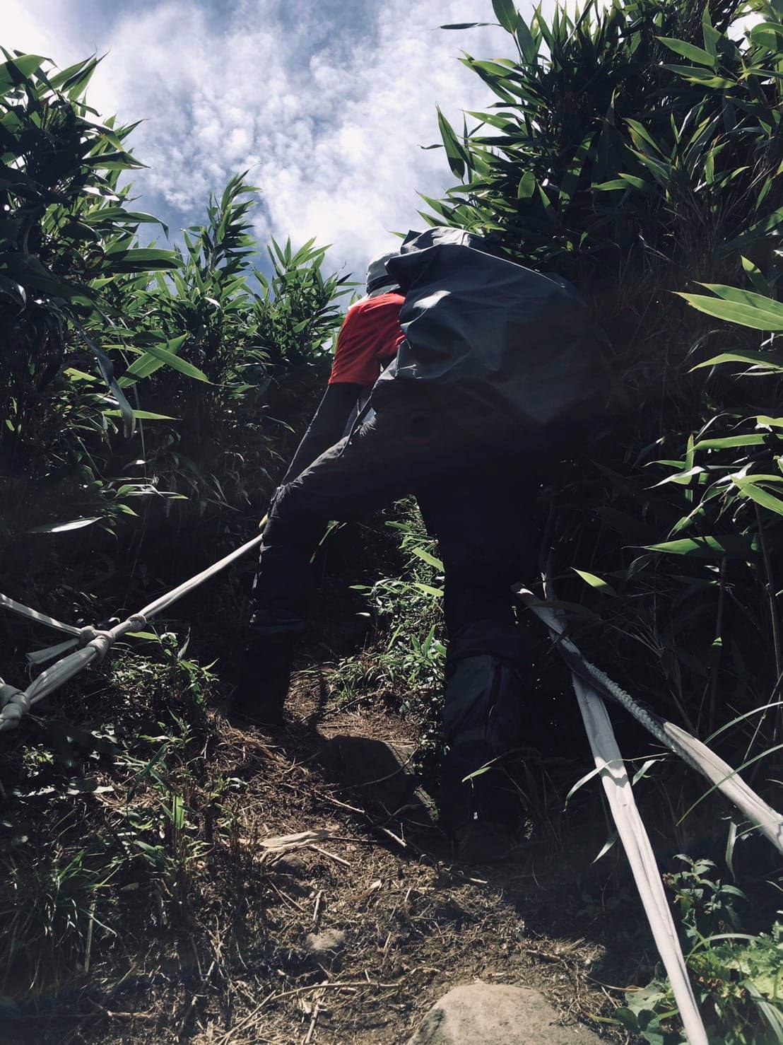小觀音山群峰中O縱走 小觀音西峰 西西峰 清風崙 下切溪谷前進大屯溪 - 第17張圖 小觀音山步道群峰連峰中O縱走