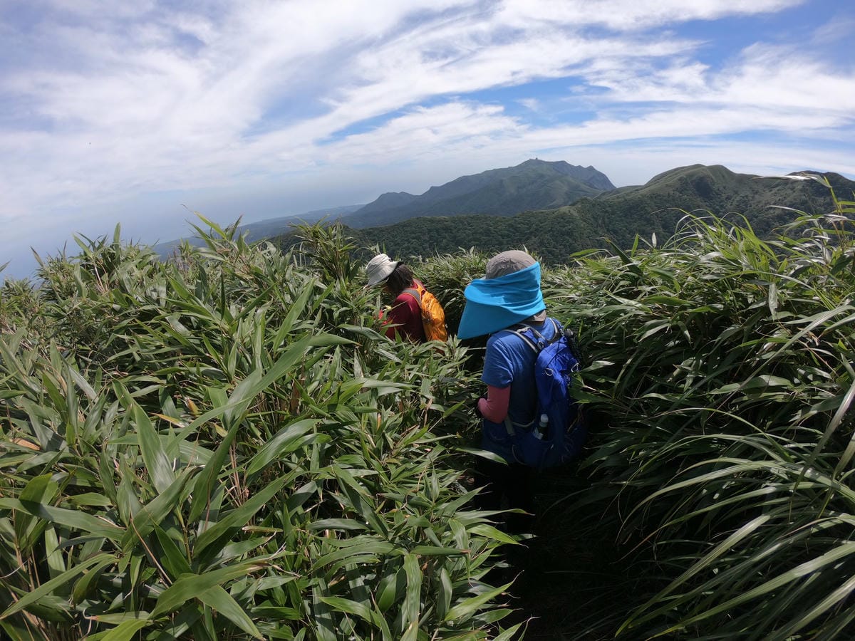 小觀音山群峰中O縱走 小觀音西峰 西西峰 清風崙 下切溪谷前進大屯溪 - 第9張圖 小觀音山步道群峰連峰中O縱走