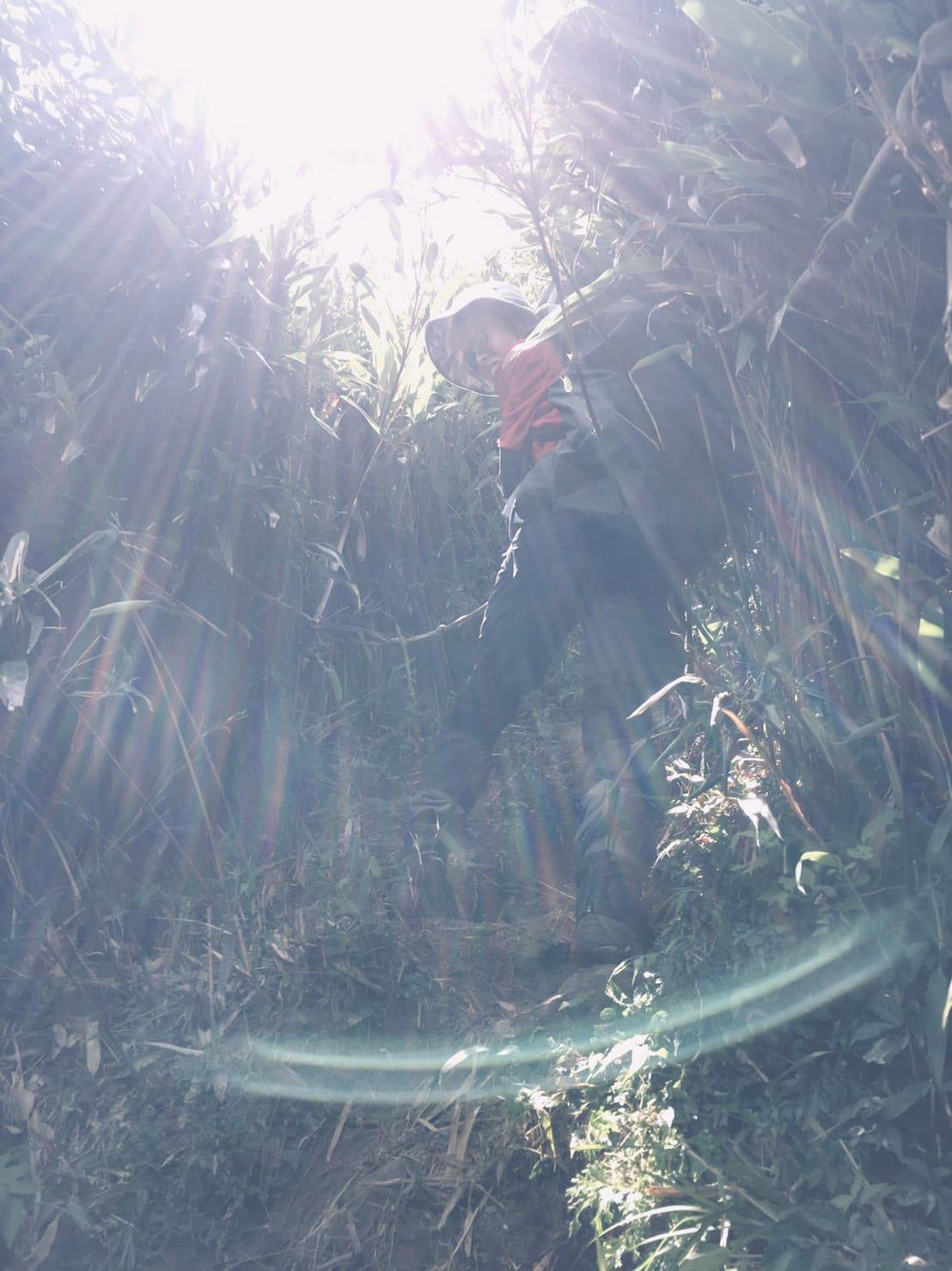 小觀音山群峰中O縱走 小觀音西峰 西西峰 清風崙 下切溪谷前進大屯溪 - 第19張圖 小觀音山步道群峰連峰中O縱走