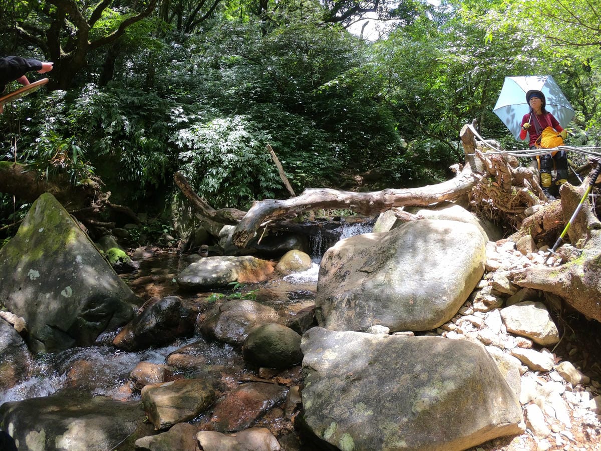 小觀音山群峰中O縱走 小觀音西峰 西西峰 清風崙 下切溪谷前進大屯溪 - 第27張圖 小觀音山步道群峰連峰中O縱走