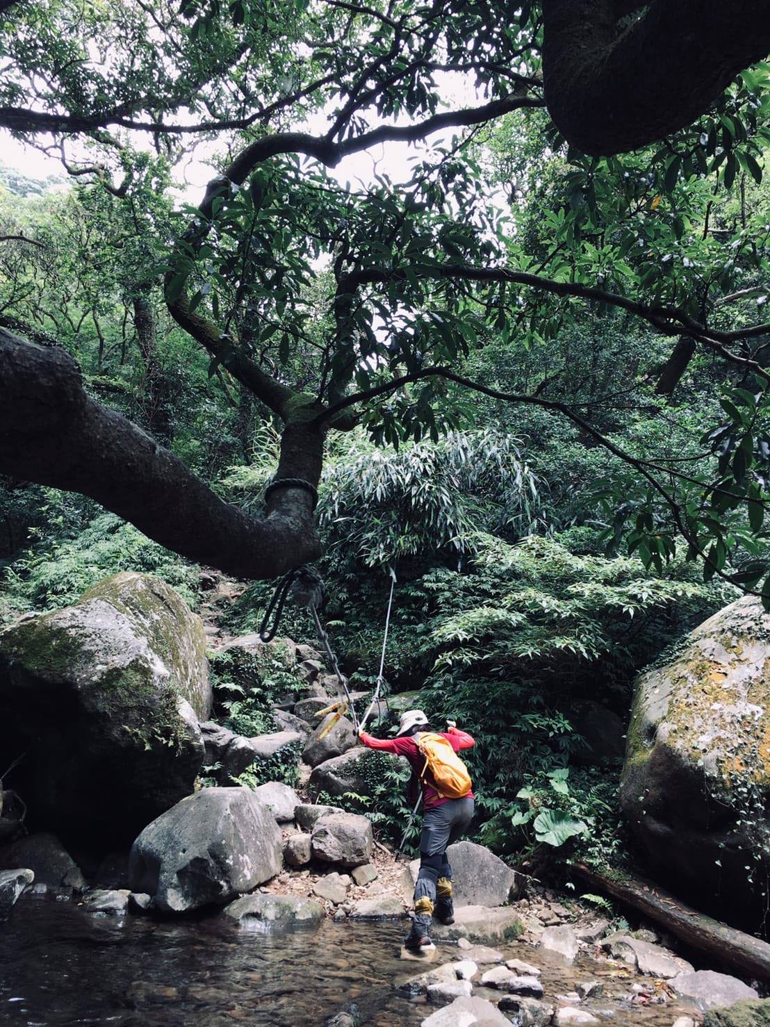 小觀音山群峰中O縱走 小觀音西峰 西西峰 清風崙 下切溪谷前進大屯溪 - 第31張圖 小觀音山步道群峰連峰中O縱走
