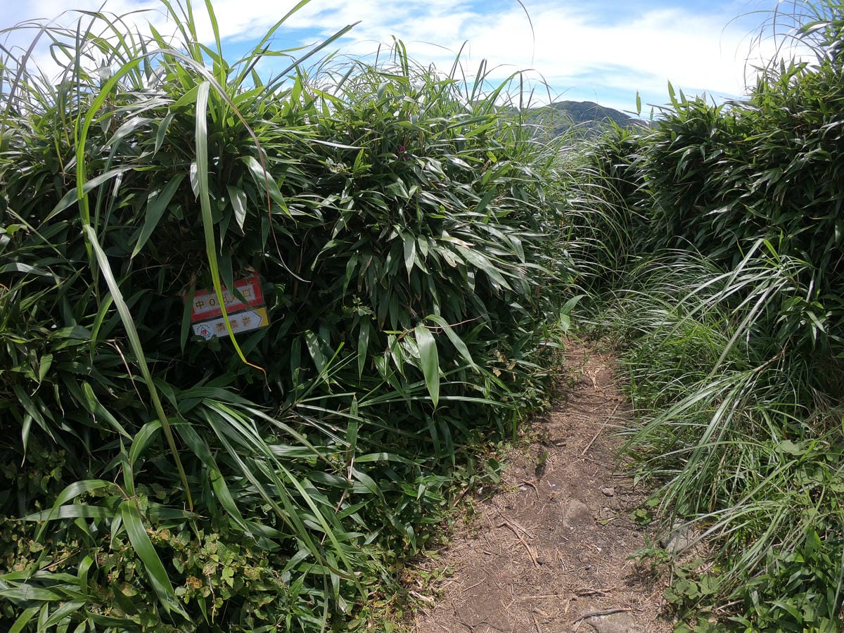小觀音山群峰中O縱走 小觀音西峰 西西峰 清風崙 下切溪谷前進大屯溪 - 第8張圖 小觀音山群峰中O縱走 小觀音西峰 西西峰 清風崙 下切溪谷前進大屯溪