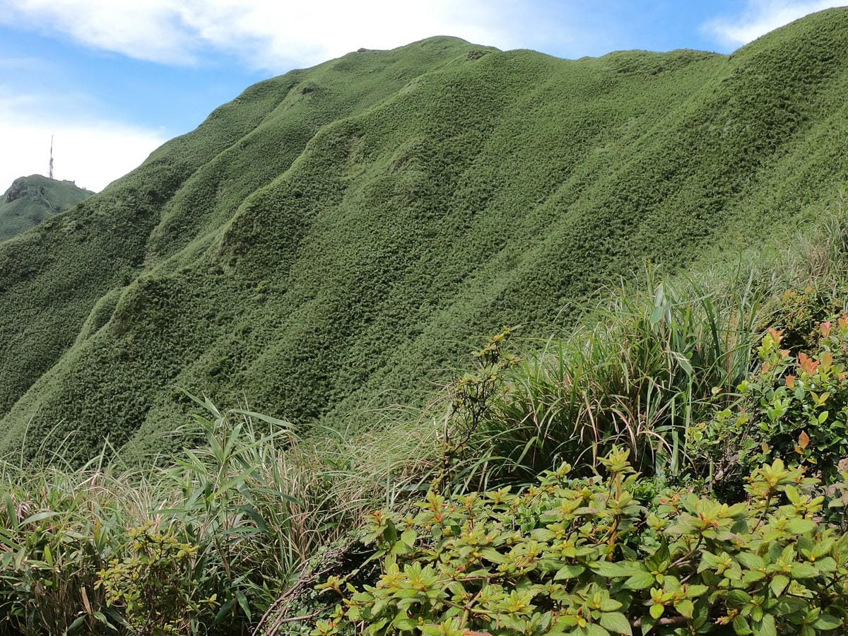 小觀音山群峰中O縱走 小觀音西峰 西西峰 清風崙 下切溪谷前進大屯溪 - 第10張圖 小觀音山群峰中O縱走 小觀音西峰 西西峰 清風崙 下切溪谷前進大屯溪