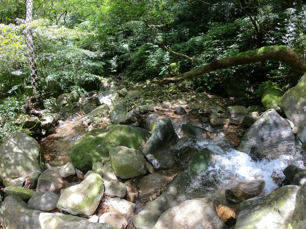 小觀音山群峰中O縱走 小觀音西峰 西西峰 清風崙 下切溪谷前進大屯溪 - 第21張圖 小觀音山群峰中O縱走 小觀音西峰 西西峰 清風崙 下切溪谷前進大屯溪