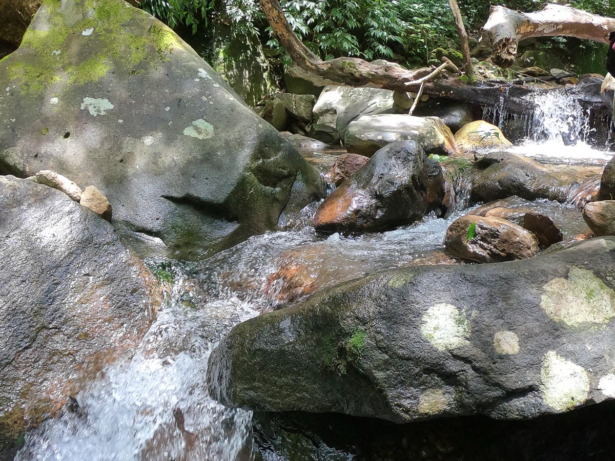 小觀音山群峰中O縱走 小觀音西峰 西西峰 清風崙 下切溪谷前進大屯溪 - 第23張圖 小觀音山群峰中O縱走 小觀音西峰 西西峰 清風崙 下切溪谷前進大屯溪