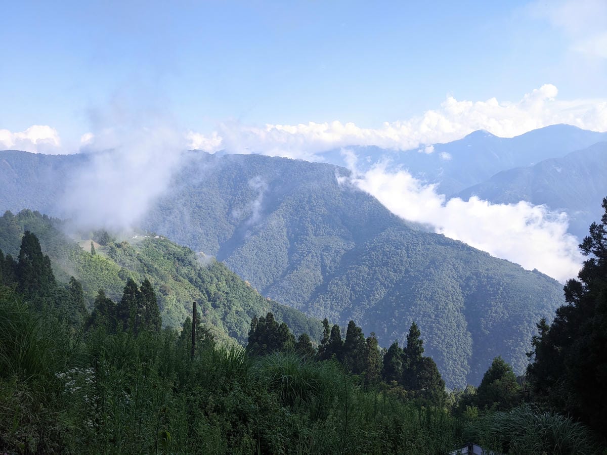 水蜜桃拉拉山復興鄉