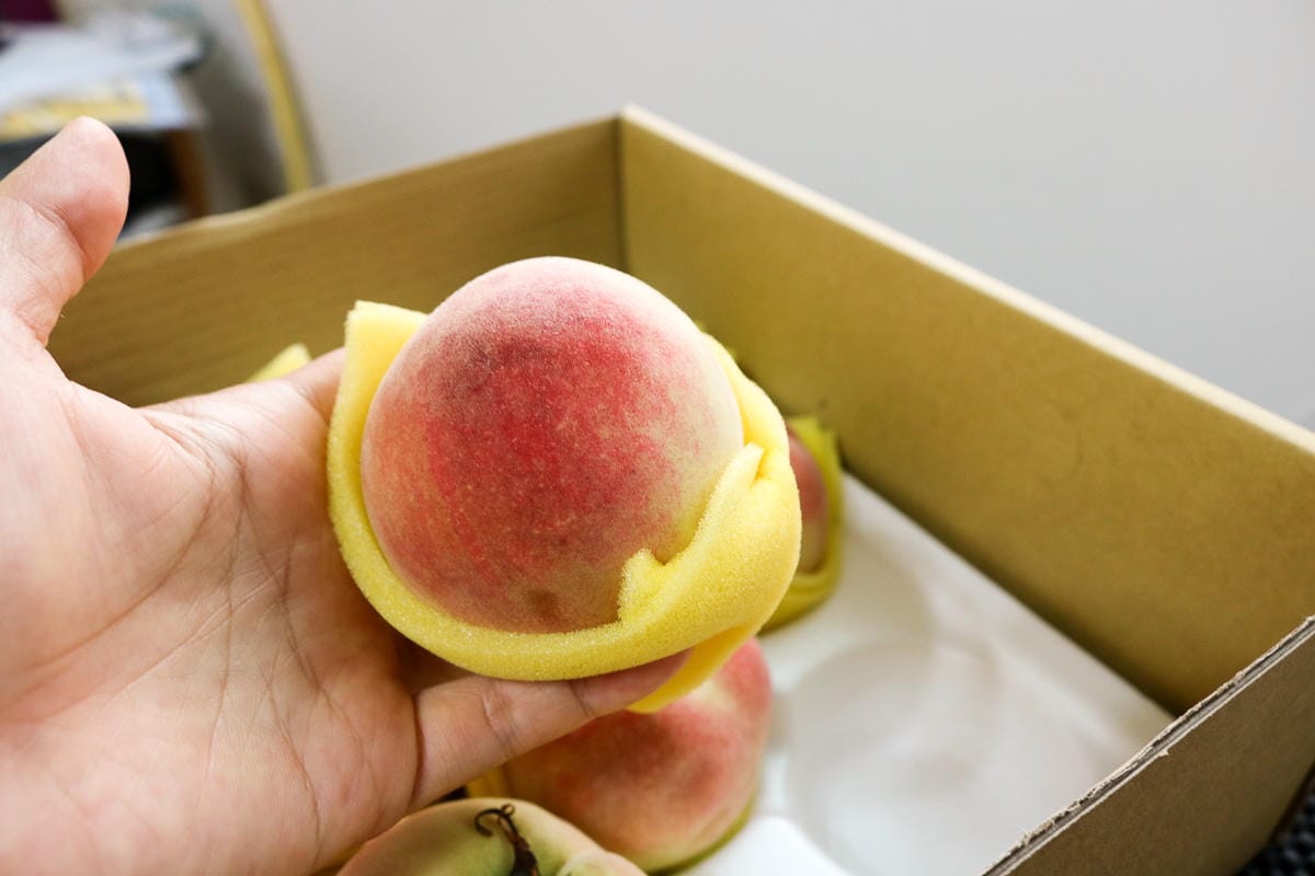 復興鄉拉拉山水蜜桃好吃到流湯 現採免運老蝦開團