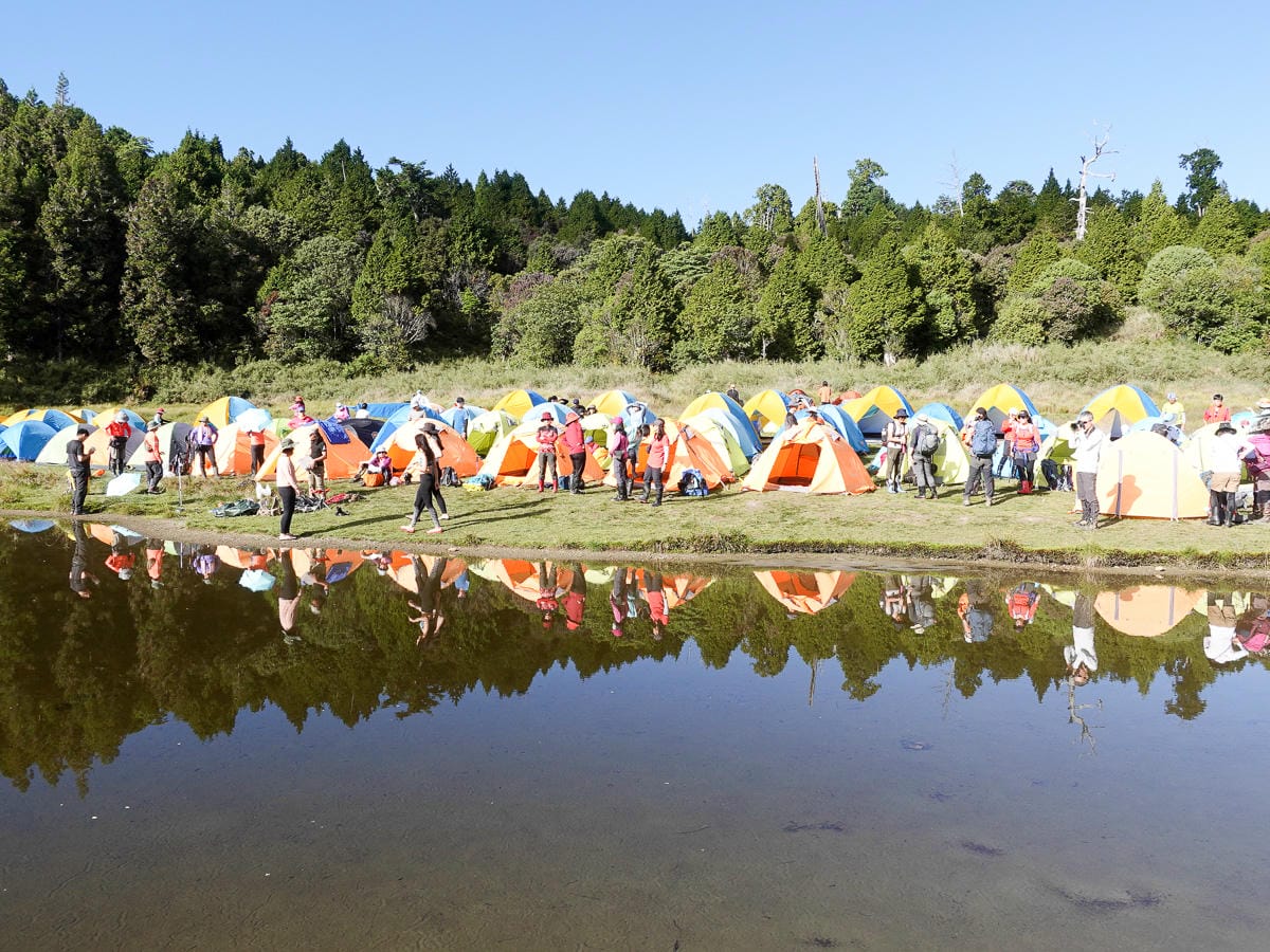 宜蘭加羅湖 加太縱走兩日露營太平山 倒木跨到飽會吃鞋的泥沼(中