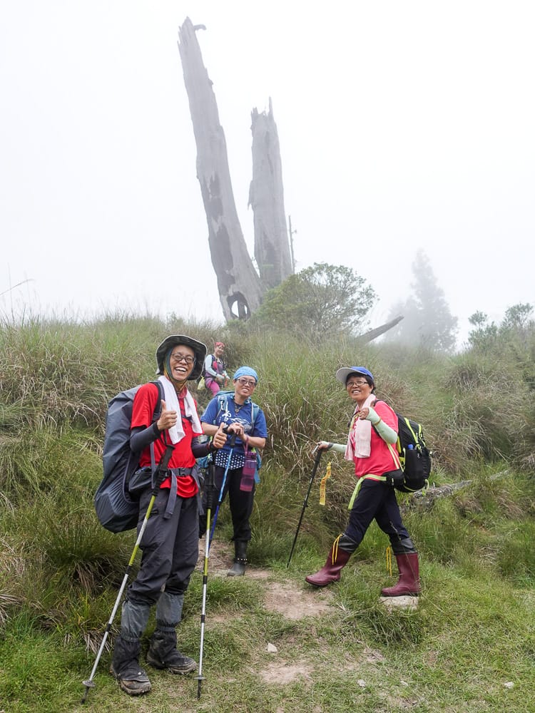 宜蘭加羅湖 加太縱走兩日露營太平山 倒木跨到飽會吃鞋的泥沼(中