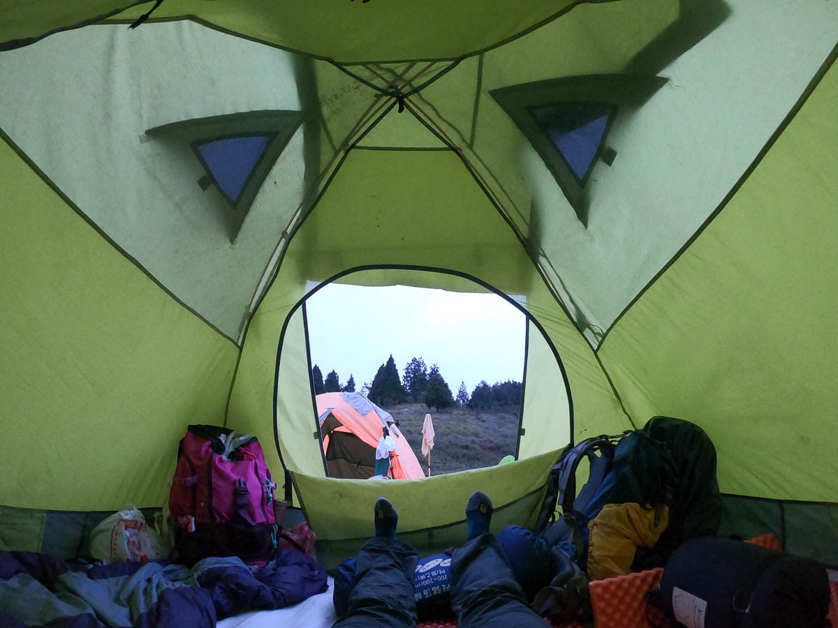 宜蘭加羅湖 加太縱走兩日露營太平山 倒木跨到飽會吃鞋的泥沼(中