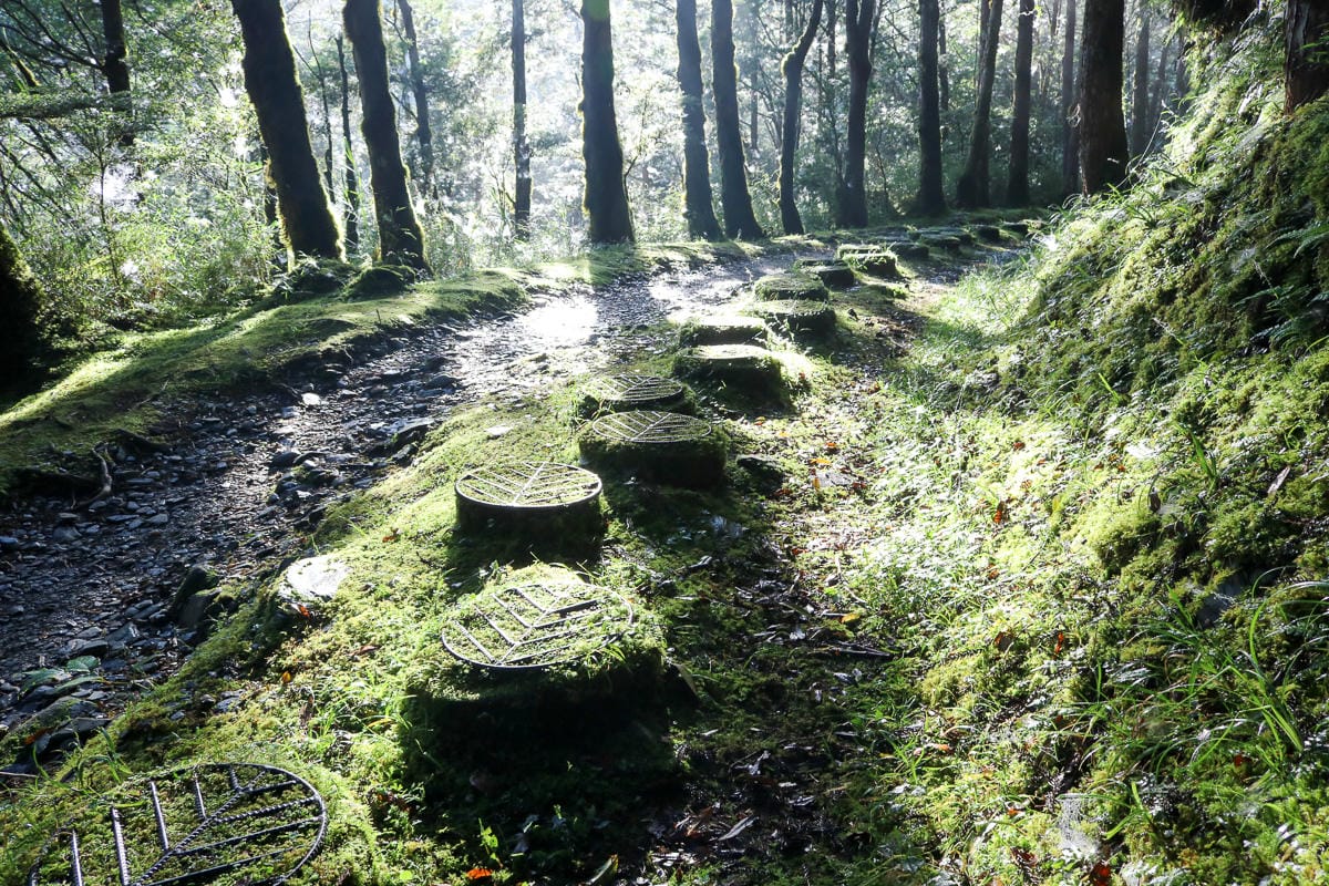太平山翠峰湖兩日夜宿翠峰山屋 全球最美見晴懷古與山毛櫸步道