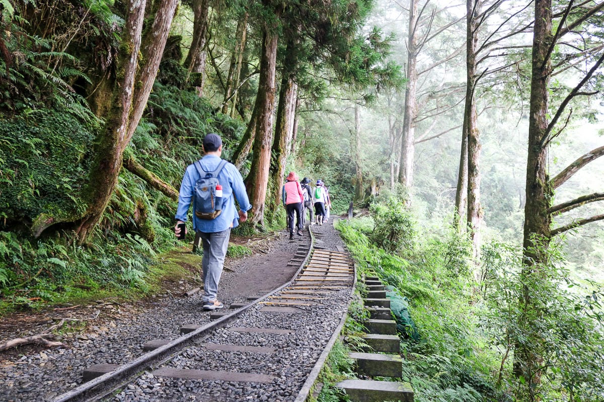 太平山翠峰湖兩日夜宿翠峰山屋 全球最美見晴懷古與山毛櫸步道