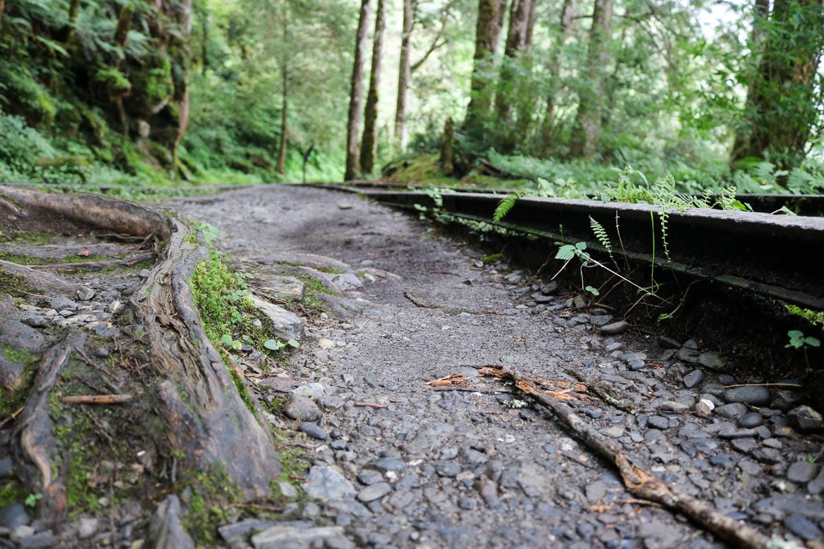 太平山翠峰湖兩日夜宿翠峰山屋 全球最美見晴懷古與山毛櫸步道