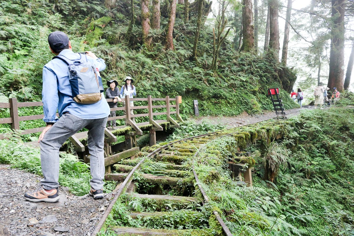 太平山翠峰湖兩日夜宿翠峰山屋 全球最美見晴懷古與山毛櫸步道