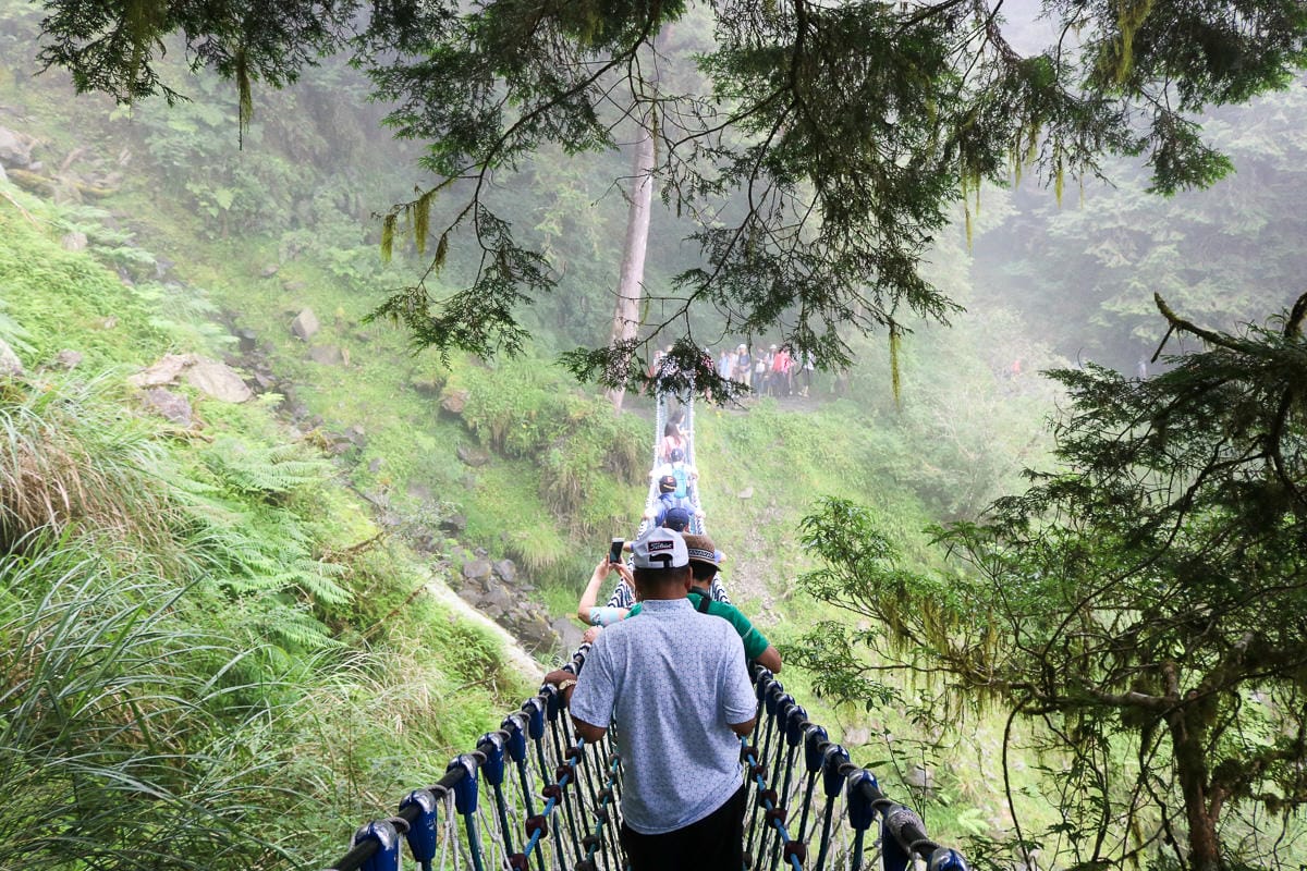 太平山翠峰湖兩日夜宿翠峰山屋 全球最美見晴懷古與山毛櫸步道