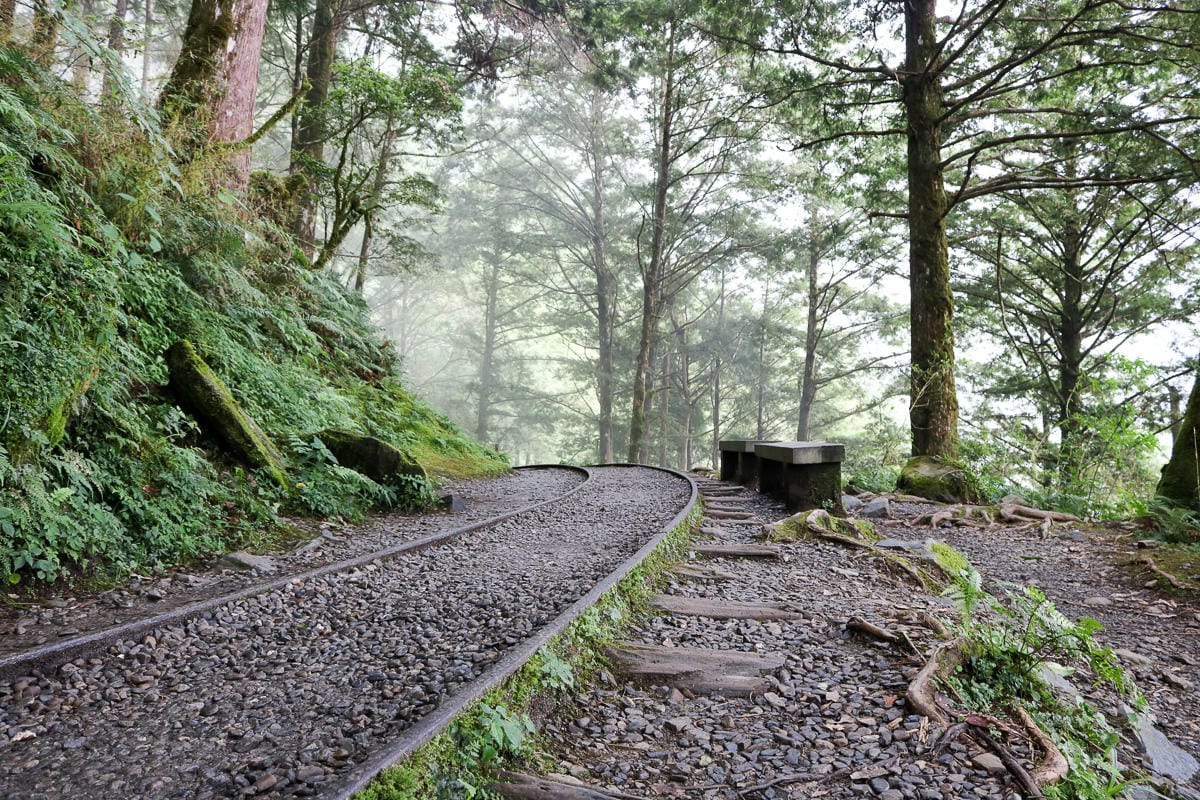 太平山翠峰湖兩日夜宿翠峰山屋 全球最美見晴懷古與山毛櫸步道