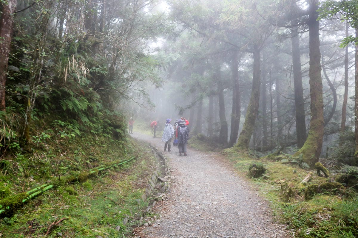 太平山翠峰湖兩日夜宿翠峰山屋 全球最美見晴懷古與山毛櫸步道